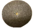 Rental store for Floor - 7  Sandpaper Disc - 100 Grit in Burnsville MN
